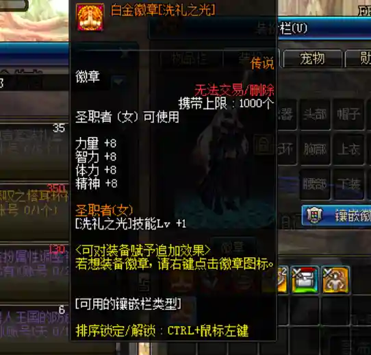 dnf图腾勋章怎么获得(dnf110版本完美守护图腾勋章获得方法)插图3