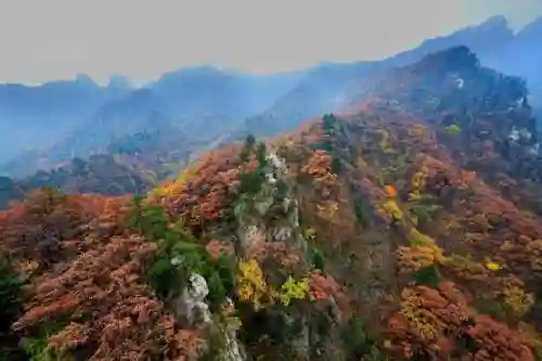 卡房精灵平明阵容怎么搭配(最强平民宝可梦阵容)插图5
