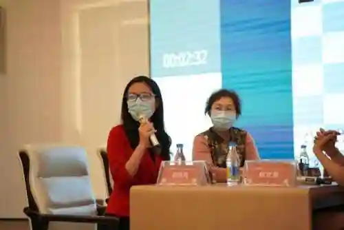 双人国际象棋(一人一半屏幕的双人象棋)插图1
