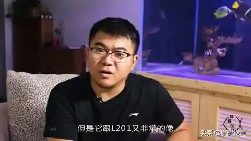 异形皇后搭配什么阵容最好(异次元公主最强阵容)插图11