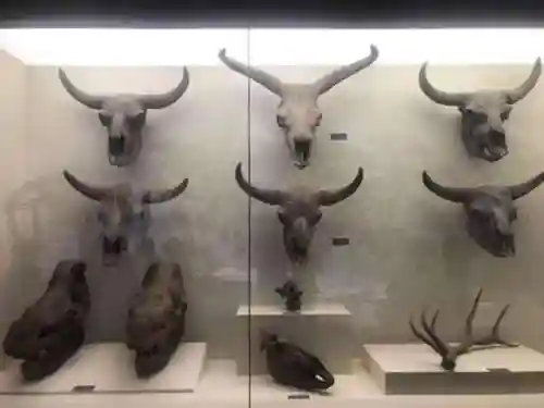 阴阳师二卡阵容搭配(阴阳师平民最佳阵容)插图28