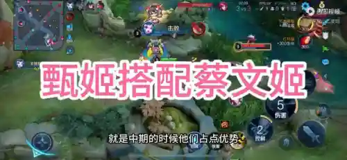 甄姬蔡文姬搭配什么阵容(蔡文姬和谁搭配阵容最适合)