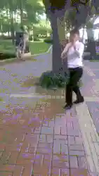 狼队深渊阵容搭配图片(深渊与秩序最强阵容搭配)插图14