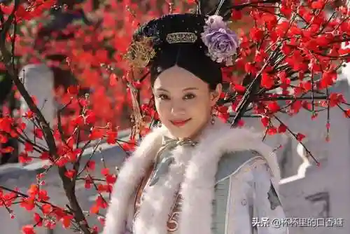 宫廷斗篷搭配阵容推荐女(宫廷计后期尚药最强阵容)插图6