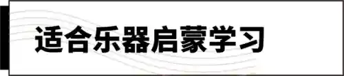 十大最难学的乐器(什么乐器可以参加艺考)插图8