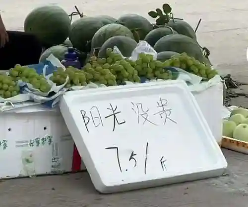 猜图片带答案大全(看图猜成语扫一扫图)插图66