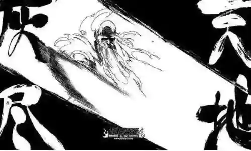 卍解元柳斋阵容搭配(12阶卍解元柳斎)插图3