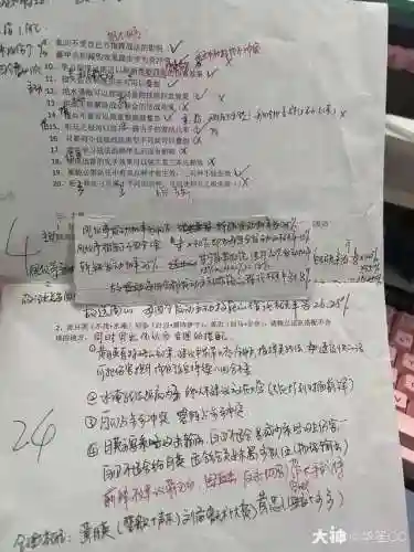 白星公主阵容搭配推荐图(星神少女t0阵容)插图11