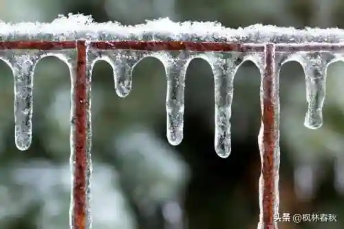 天斗大雪阵容搭配攻略(海边小斗大雪好看视频)插图5