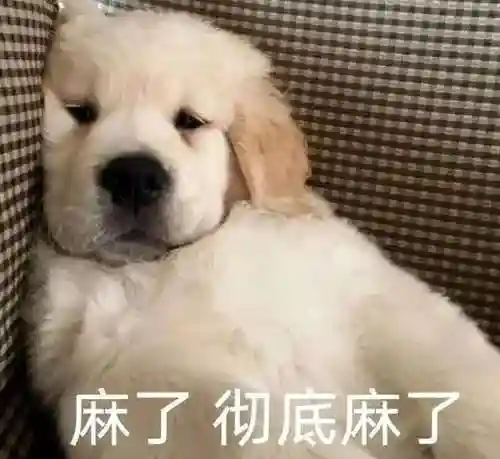 国外单机游戏(外国游戏软件app)插图5