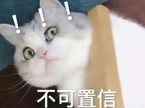 洛克王国成年了还限制(洛克王国解除五小时限制的方法)插图8