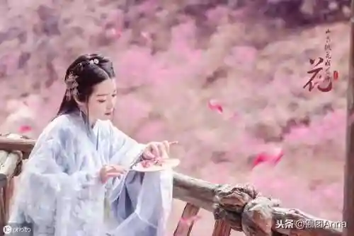 皎皎媚生香(皎皎生香笔趣阁)