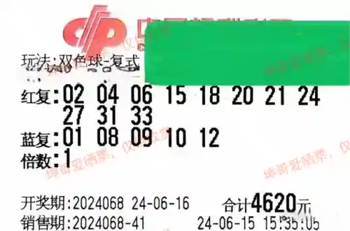 闪烁之光光搭阵容搭配(闪烁之光适合平民的四大最强阵容)插图1