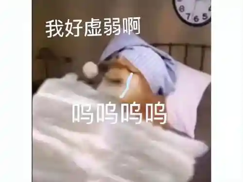 国服命运方舟阵容搭配(明日方舟T0阵容2021)插图1 国服命运方舟阵容搭配(明日方舟T0阵容2021)插图1