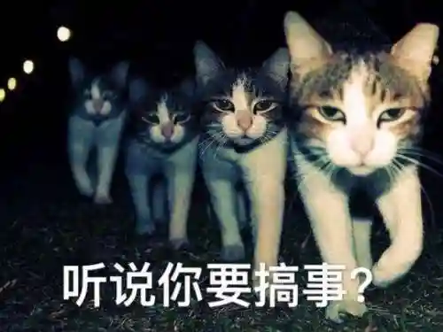 完美漂移好号和密码(4399完美漂移大神账号和密码分享)