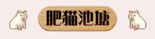 dnf死灵术士什么时候出的(dnf各职业出的时间)