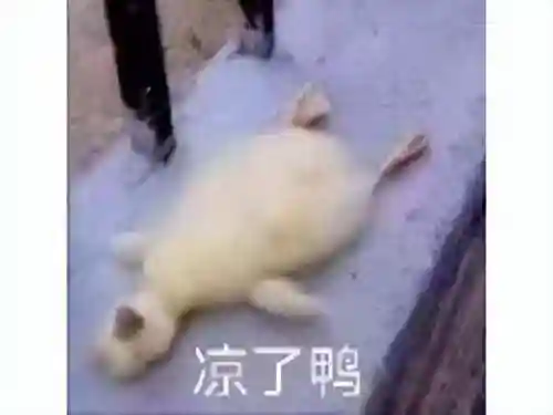 火影妖神传说阵容搭配(妖神传说手游最强阵容)插图6