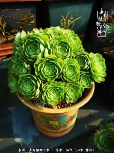 养娃阵容法师怎么搭配技能(传奇法师招什么宝宝最厉害)插图20