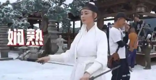 雪中悍刀行2(雪中悍刀行2上映时间已确定)插图7