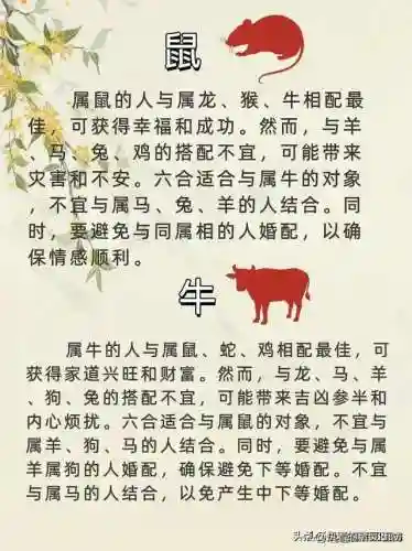 最佳好友阵容搭配图表高清(最佳阵容下载)插图4