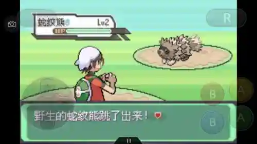 神奇宝贝究极绿宝石攻略(神奇宝贝第一部免费)插图92