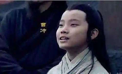 曹冲为什么只活了13岁(曹冲活了多少岁)插图6