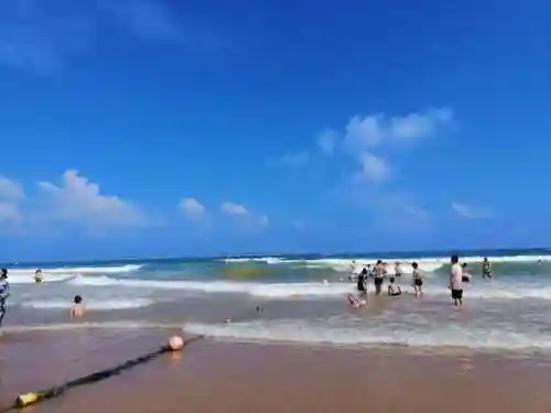 洛克王国红顶剑龙怎么进化(洛克王国龙系宠物在哪里超进化)插图26