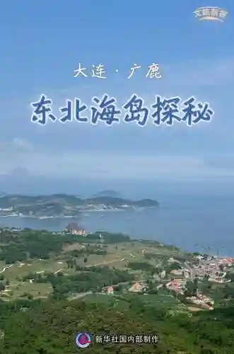 岛屿探秘阵容搭配推荐攻略(放置海岛阵容推荐)
