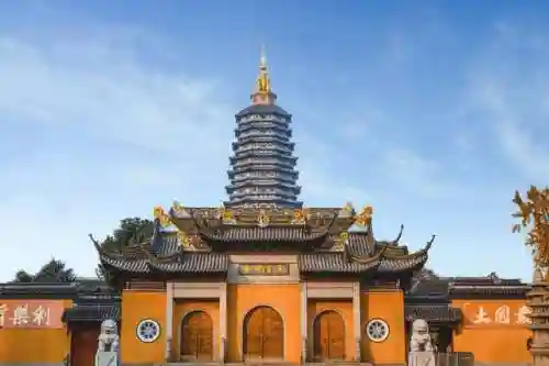 梦幻恐龙园阵容搭配图片(挂机养恐龙最强阵容)插图33