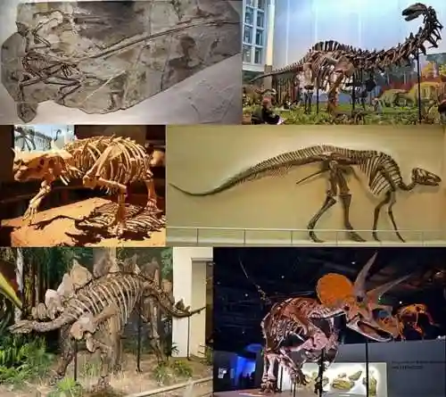 时空猎人剑龙阵容搭配(时空猎人平民最强角色)插图16 时空猎人剑龙阵容搭配(时空猎人平民最强角色)插图16
