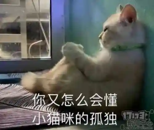 巨龙双排阵容搭配推荐(卧龙无敌后期阵容搭配)