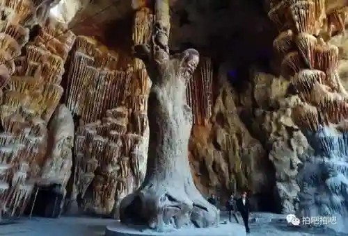 南京龙之谷简介(华昌龙之谷风暴水世界门票价格)插图12