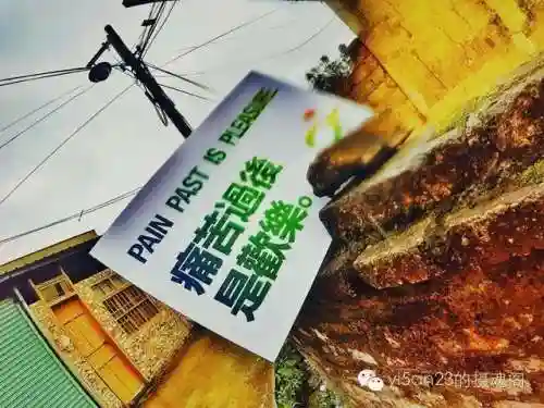 土楼试炼阵容怎么搭配(金玉满堂幻境试炼阵容推荐最新)插图18