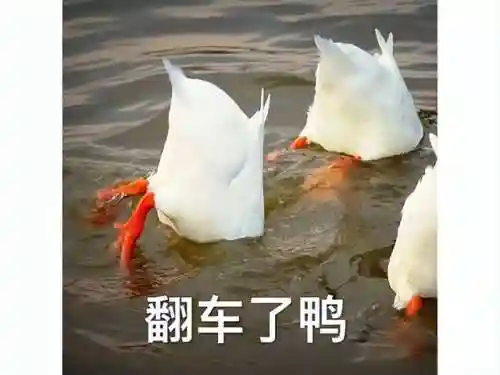 火影妖神传说阵容搭配(妖神传说手游最强阵容)插图38