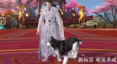 剑侠传奇邪教阵容搭配(剑侠传奇最强10人阵容)插图18