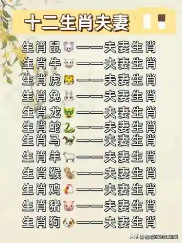 最佳好友阵容搭配图表高清(最佳阵容下载)