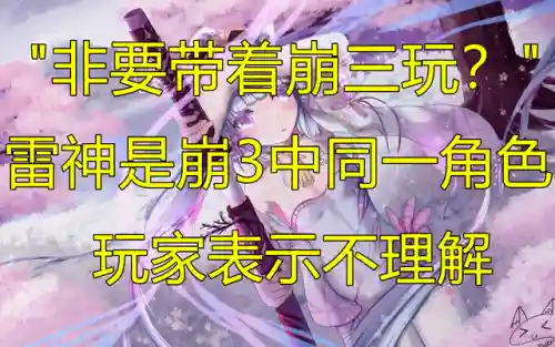 崩坏三雷神联动阵容搭配(崩坏三单s月轮怎么配阵容)