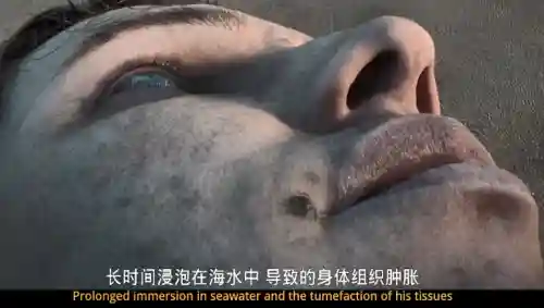 星际通缉250关阵容搭配(星际52区最强阵容)插图53