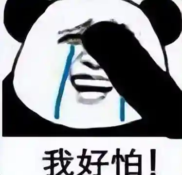 掌上英雄联盟手机版(掌上英雄联盟战绩查询网页版)插图15