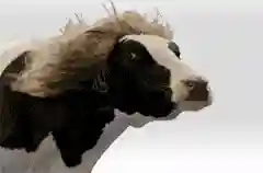 阴阳师平民鬼泣阵容搭配(阴阳师斗技前十阵容)插图1