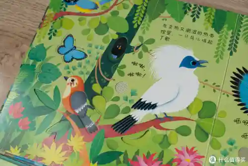 4399奥奇传说小助手(奥奇传说网页版怎么在手机登录)插图21