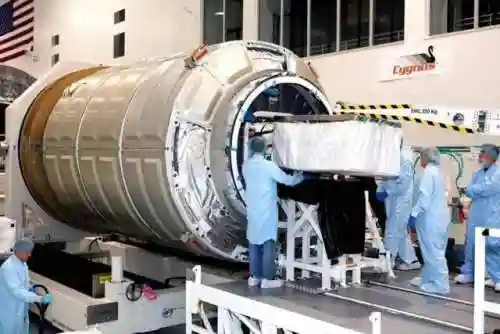 深空之门阵容搭配推荐(虚空刺客流阵容攻略详解)插图8