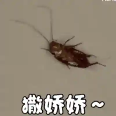 搞笑动态表情包(搞笑GIF图片)插图17