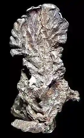 银矿石图片(银矿石原石价格)插图52