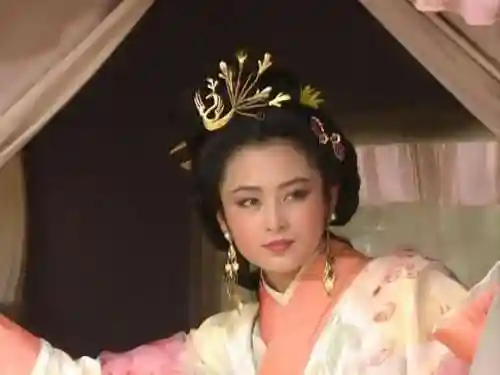 三国武神阵容搭配(神将三国t0阵容最新2023)插图27