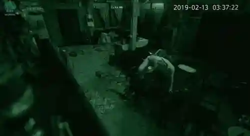 灵媒演员阵容搭配图(众神派对李灵阵容搭配)插图14