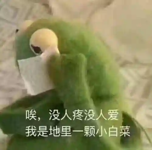 斗图表情包(小黑子专用表情包)插图16