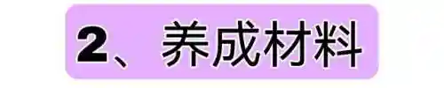 原神阵容鸣神怎么搭配(原神哪四个元素阵容搭配最强)插图6