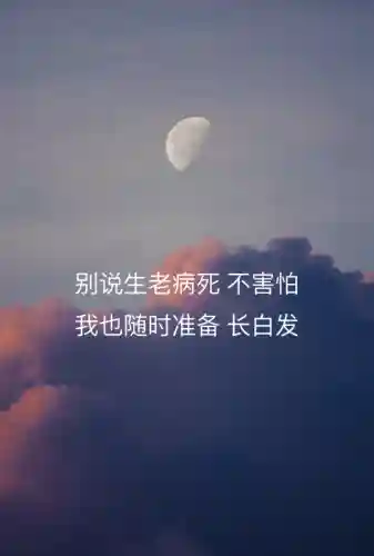 爱的代价歌词(爱的代价是怀念前任吗)插图2