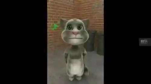 会说话的猫汤姆猫(我的汤姆猫下载免费)